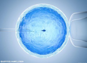试管代怀生子助孕代妈